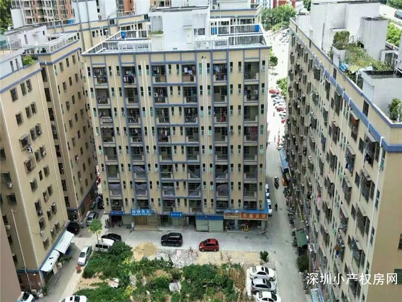 观澜大型村委统建楼《阳光花园》隆重推出开发商保留物业30套，非常适合住家和投资