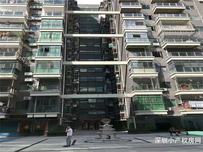 龙华小产权房《金威大厦》龙华双地铁物业，稀缺大社区4栋封闭式花园产品双停车场