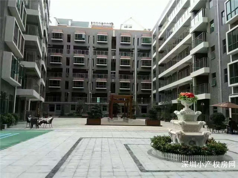 龙华-金威大厦 