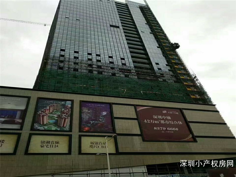 坂田小产权房出售《十二庄园华庭》多地铁交通，全新现楼，送豪华装修 ，送全套家电