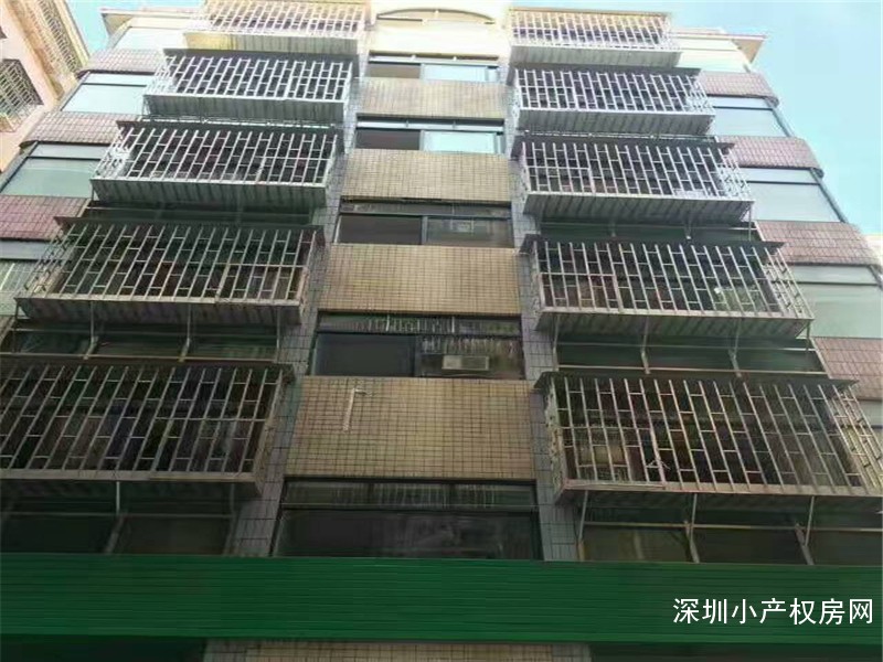 布吉小产权房上市《桔子苑》精装修现房，布吉大芬地铁站150米，投资首选！