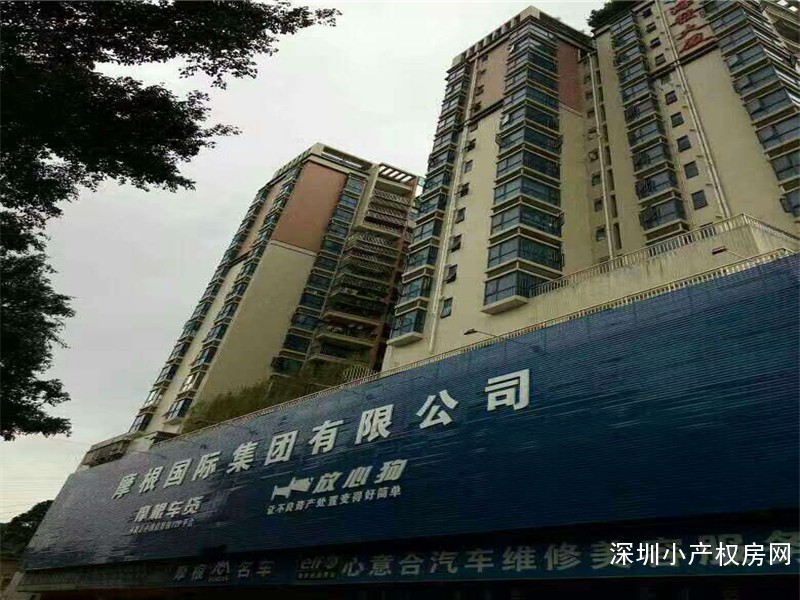 龙岗大型统建楼出售《吉发大厦》全新时尚精装修花园房，投资回报率极高！