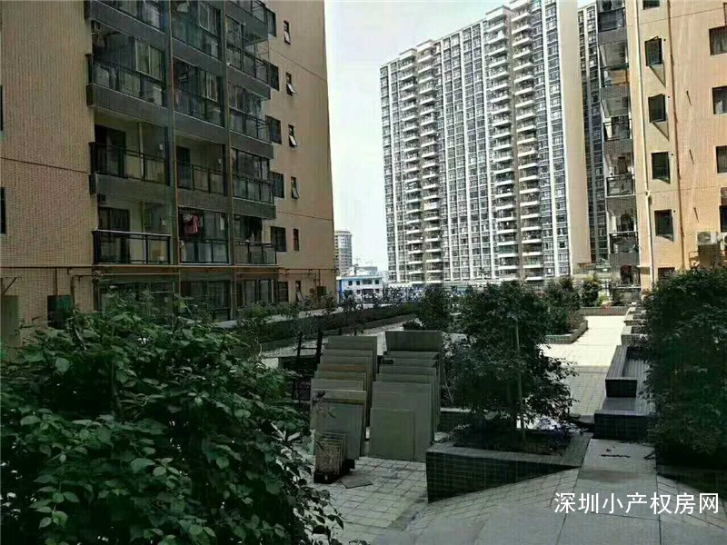 西乡唯一村委统建楼出售《东方花园》固戍地铁口，绝佳路段，升值无限，投资圣地