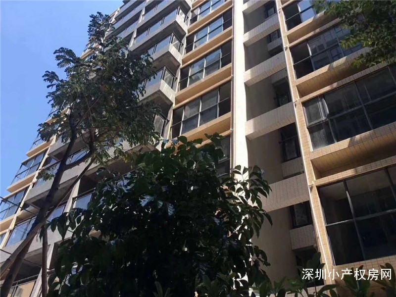 东莞大朗小产权房出售《松湖•汇龙山》正宗学区房位置，交通方便，位置地段优越，投资首选