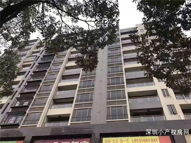 龙华观澜小产权房《景田名苑》大型村委统建楼，精装修，即买即可入住