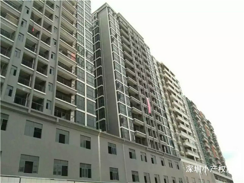 龙华唯一的村委统建楼《春晖雅苑》村委直接签合同，住家投资绝佳项目