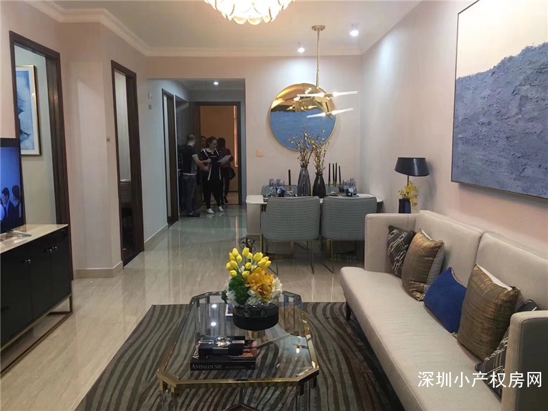 东莞市长安小产权房出售-中心花园-八栋小区-空中花园 