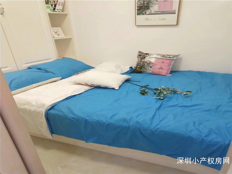 龙华小产权房-星河雅苑-坐拥四大地铁口，民治天虹旁边 