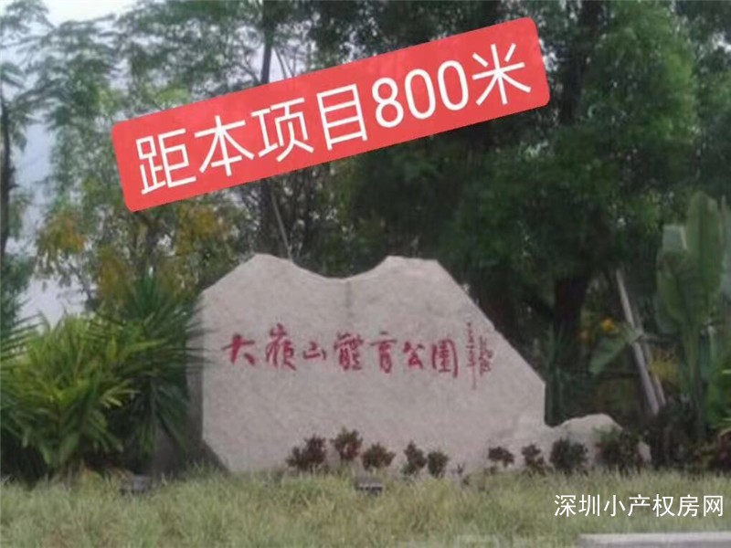 东莞大岭山小产权《金岭嘉苑》4栋3850/平开盘了，形容只能说没有最好只有这个更好！ 