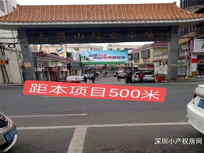 东莞大岭山小产权《金岭嘉苑》4栋3850/平开盘了，形容只能说没有最好只有这个更好！ 
