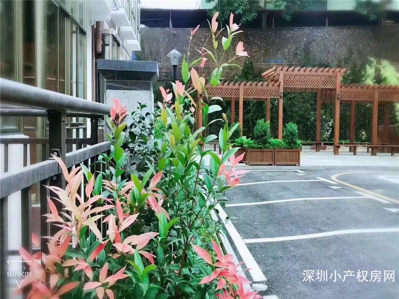 龙华观澜小产权房《澜山一号》8栋村委小区房，停车场，通天然气，户型单间至3房