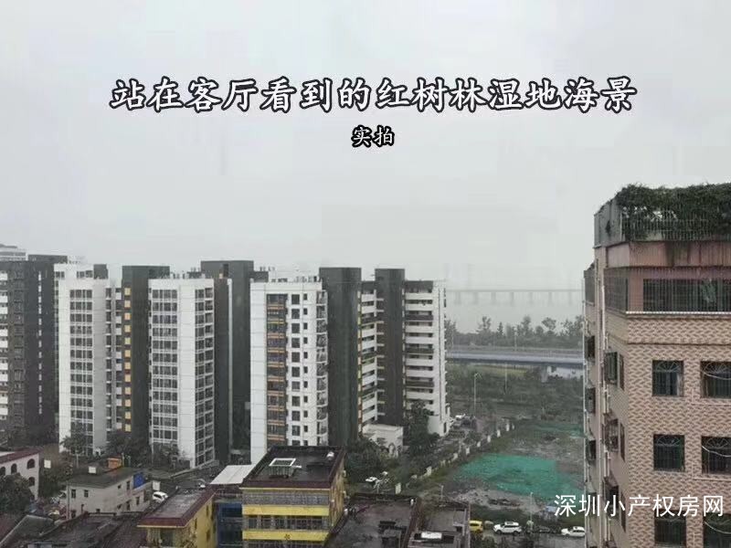 深圳宝安小产权房《悦海新天地》2栋花园房，全新海景房首付16.8万起