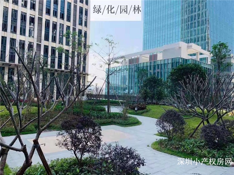 龙岗李朗花园小产权《君悦公馆》五栋花园小区，双地铁，双地下停车，买一层送一层 
