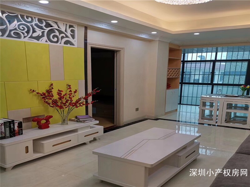 龙岗小产权房《坪地豪苑》坪地稀缺房，唯一在卖便宜的两房43.8万可以改四房 