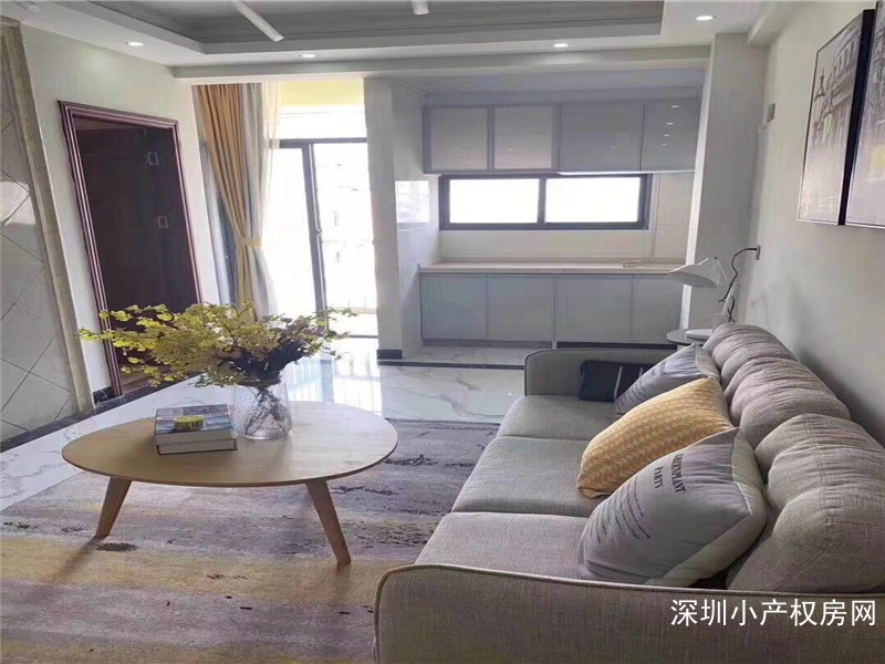 龙岗布吉小产权《长龙幸福城》两大栋优质楼盘，两房79.8万元 