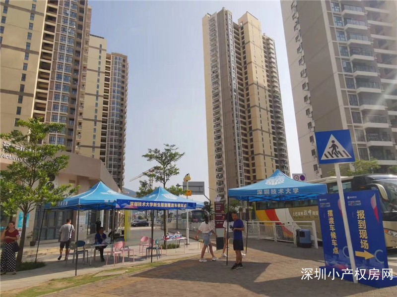深圳龙岗坪山小产权-竹韵花园 