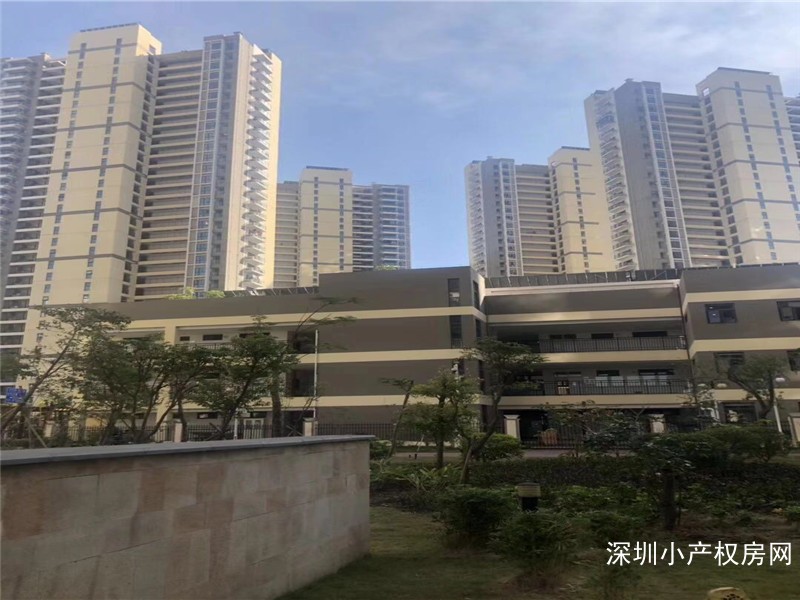 龙岗坪山小产权《坪山竹韵花园》3-5年确定换不动产证，小产权房的价格买商品房，值！ 