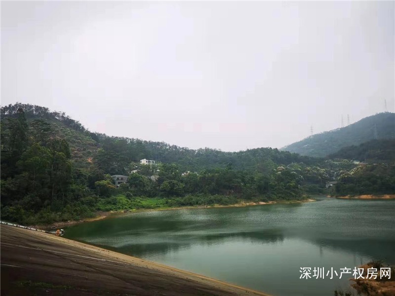 深圳龙华村委房《山水绿园》龙胜地铁口村委统建楼，非常漂亮的房子，一房至五房 