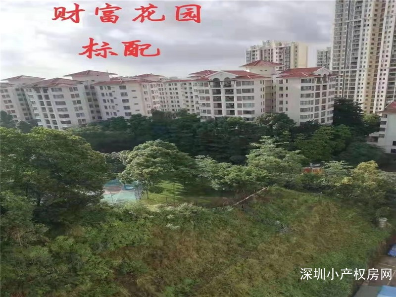 东莞凤岗小产权《财富花园》凤岗中心，3栋围合小区小产权，地下停车凤岗性价高 