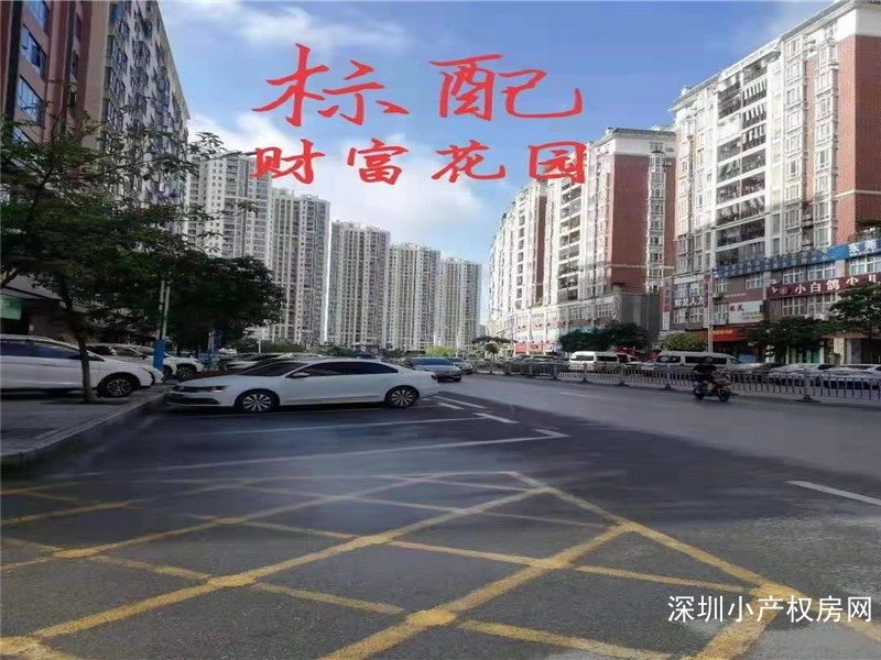 东莞凤岗小产权房-财富花园 