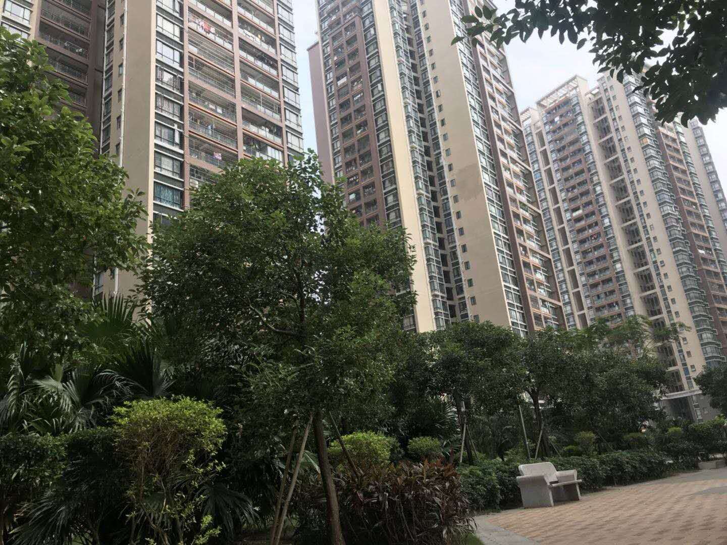 为什么深圳小产权房越买越贵？
